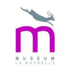 Brouillon auto